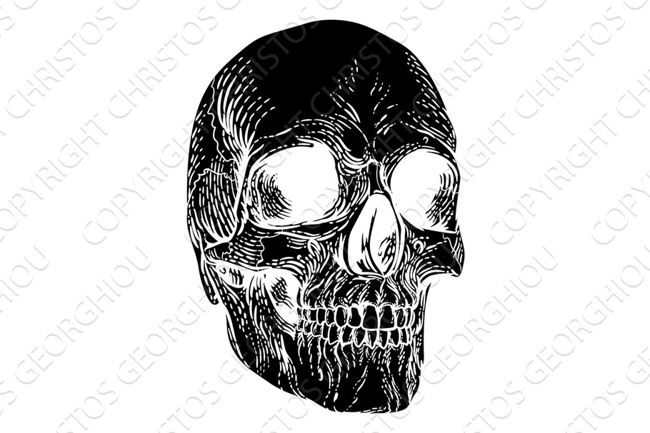 Skull Grim Reaper Vintage Woodcut in Illustrations - product preview 8