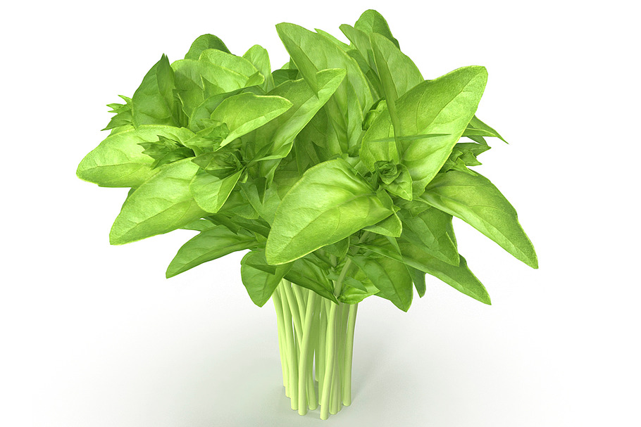 Cinnamon basil Bunch in Food - product preview 8