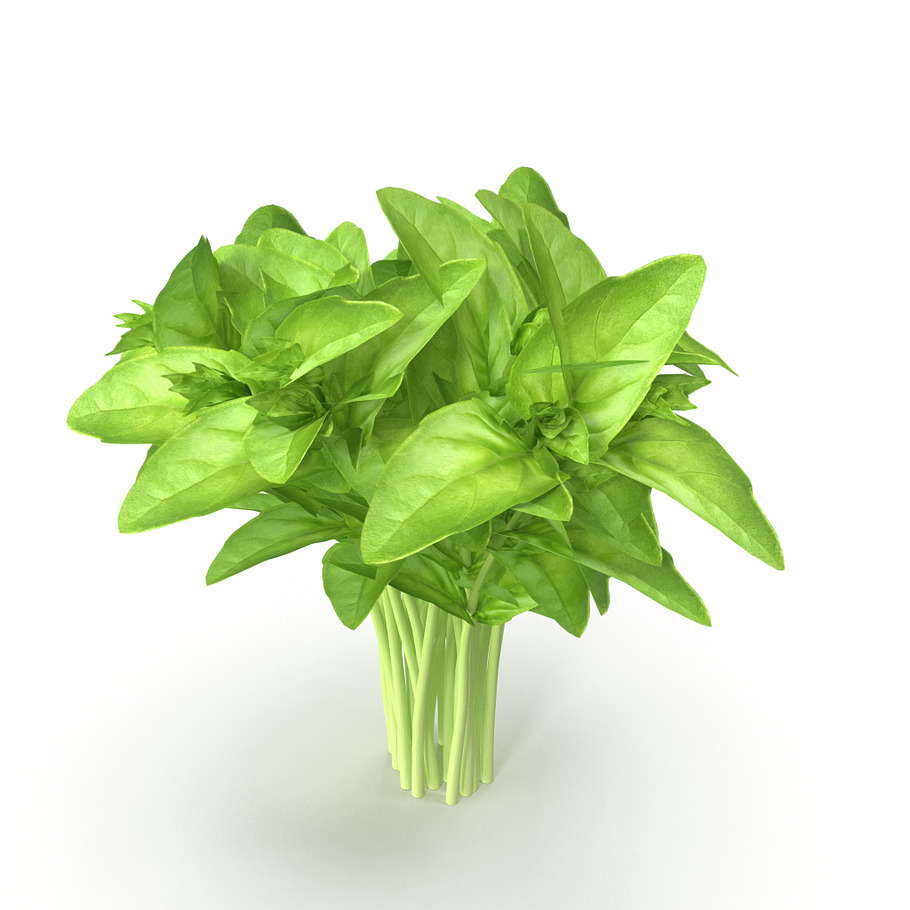 Cinnamon basil Bunch in Food - product preview 5