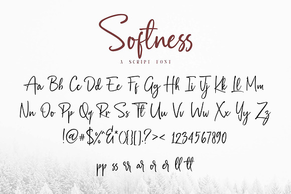 Softness//A Script Font in Script Fonts - product preview 4