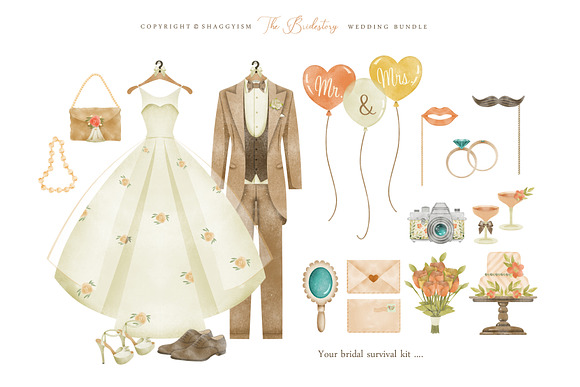 The Bridestory Wedding Bundle in Illustrations - product preview 1