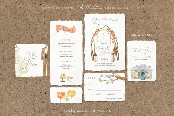 The Bridestory Wedding Bundle in Illustrations - product preview 5