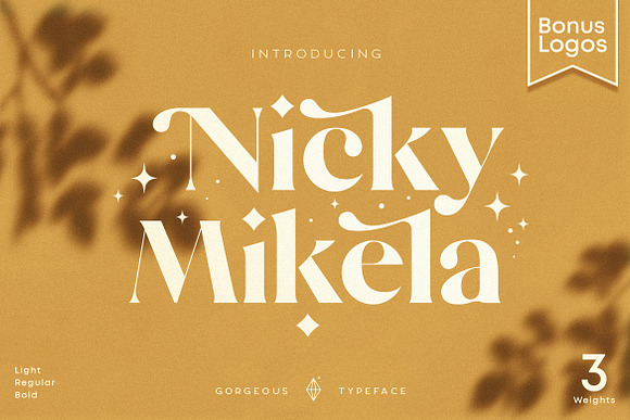 Mikela - 50% OFF Gorgeous Typefaces in Serif Fonts - product preview 44