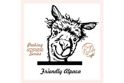Peeking Funny Alpaca - Surprised
