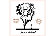 Peeking Funny Ostrich - Ostrich