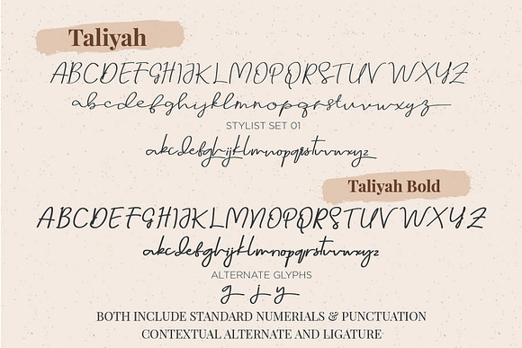 Taliyah Signature Family in Script Fonts - product preview 10