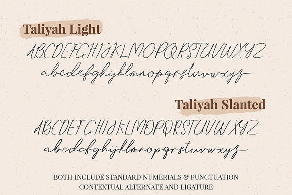 Taliyah Signature Family in Script Fonts - product preview 11