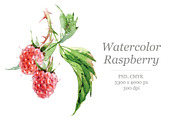 Watercolour Raspberry