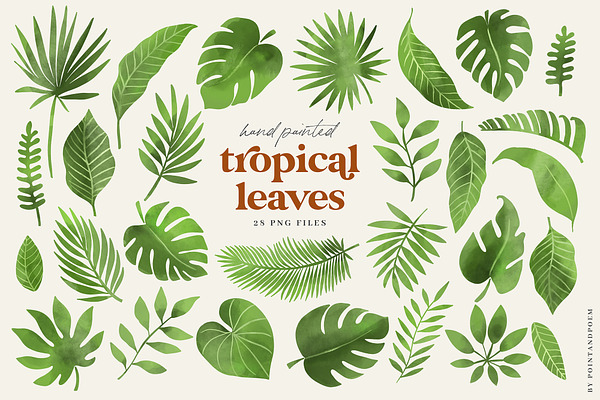 Tropical & Exotic Leaves Collection