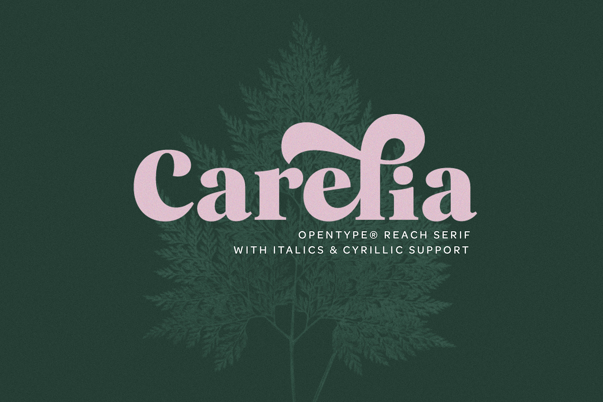 Carelia Font Family in Serif Fonts - product preview 8