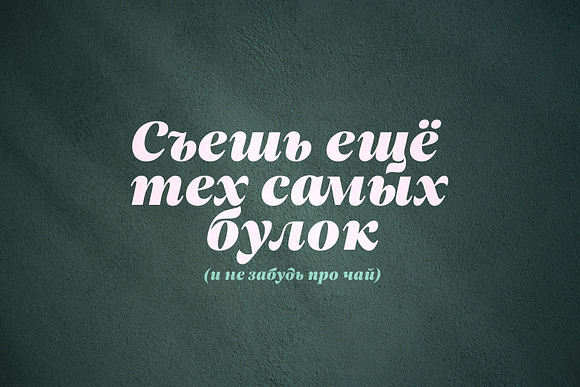 Carelia Font Family in Serif Fonts - product preview 3
