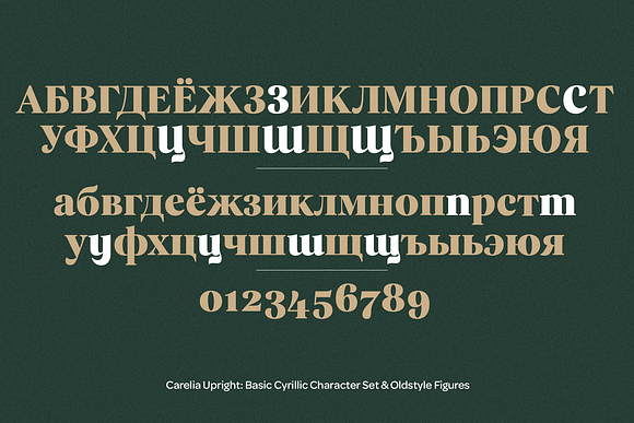 Carelia Font Family in Serif Fonts - product preview 9