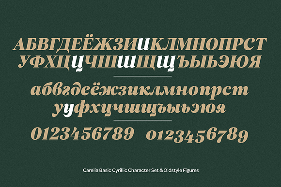 Carelia Font Family in Serif Fonts - product preview 11
