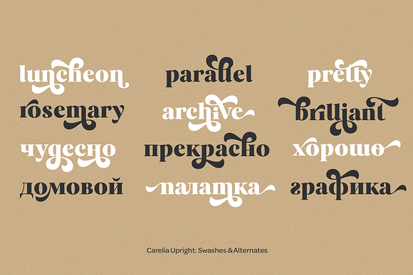 Carelia Font Family in Serif Fonts - product preview 13