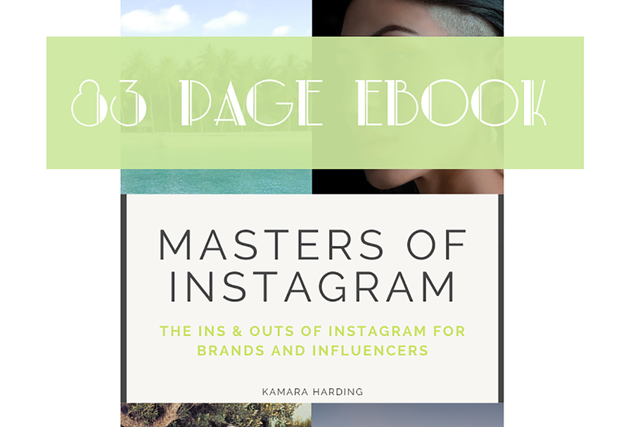 Instagram Ebook & Guide to Growth in Instagram Templates - product preview 8