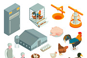 Poultry farm isometric icons