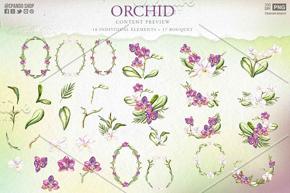 Orchid watercolor flower clipart in Illustrations - product preview 1