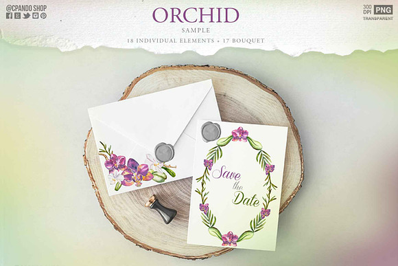 Orchid watercolor flower clipart in Illustrations - product preview 2