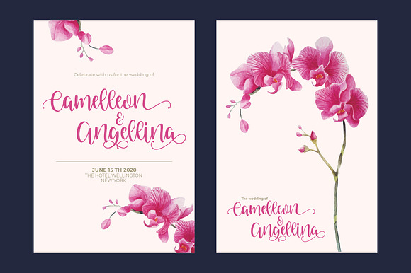 Venoisse - Modern Calligraphy in Script Fonts - product preview 1