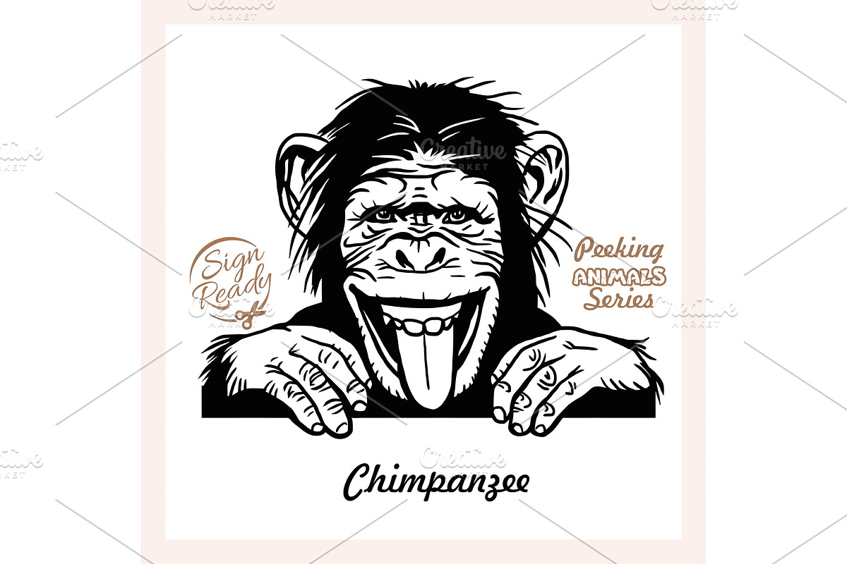 Peeking Chimpanzee - Funny in Illustrations - product preview 8