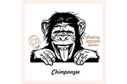 Peeking Chimpanzee - Funny