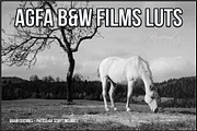 AGFA Black and White Film LUTs