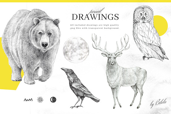 All My Drawings BUNDLE / save 60% in Illustrations - product preview 3