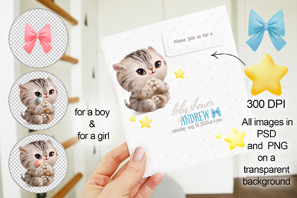 Baby cat  (animal portrait) in Illustrations - product preview 3