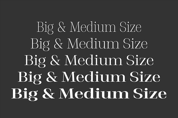 Stigsa Display Font Family - 80% Off in Serif Fonts - product preview 4