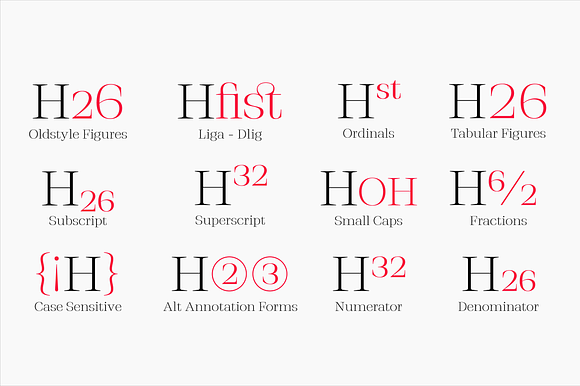 Stigsa Display Font Family - 80% Off in Serif Fonts - product preview 5