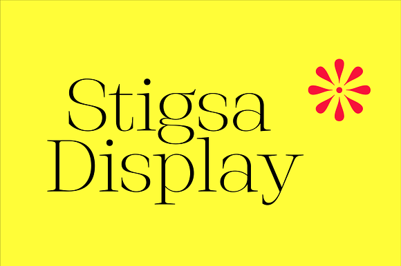 Stigsa Display Font Family - 80% Off in Serif Fonts - product preview 14
