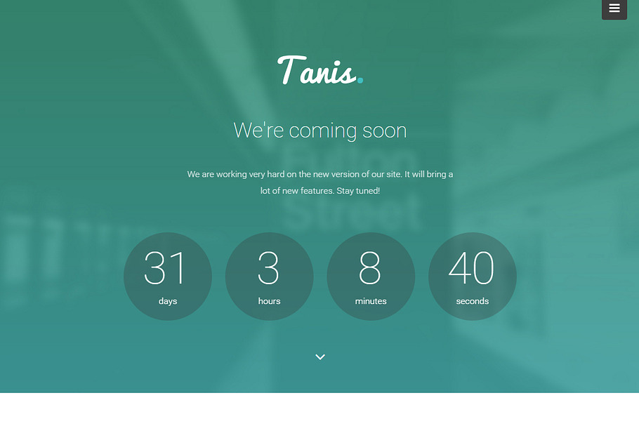 Tanis - Coming Soon WordPress Theme in WordPress Landing Page Themes - product preview 8