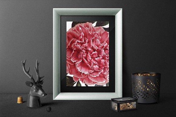 Peony Clipart Pink Flowers in Illustrations - product preview 3
