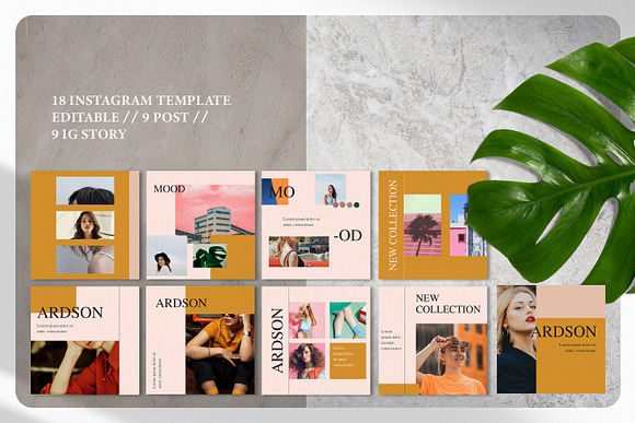 Ardson Instastory & Post Instagram in Instagram Templates - product preview 7