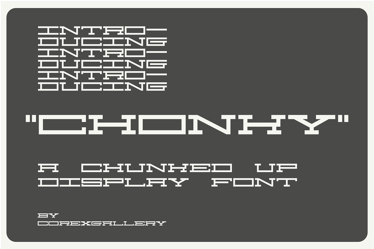 Chonky in Display Fonts - product preview 8