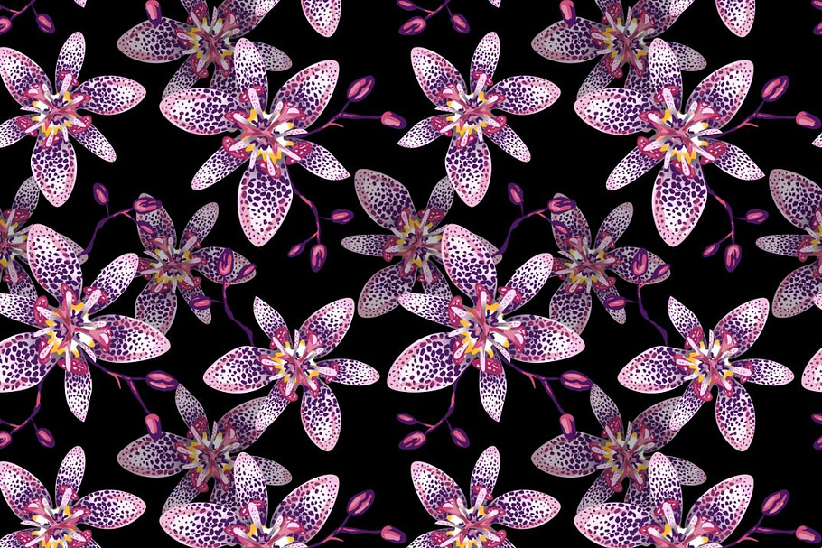 Tropical flowers, Tricyrtis lily in Patterns - product preview 8