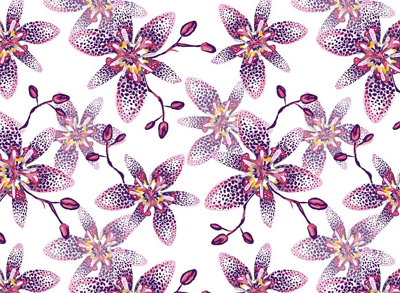 Tropical flowers, Tricyrtis lily in Patterns - product preview 1