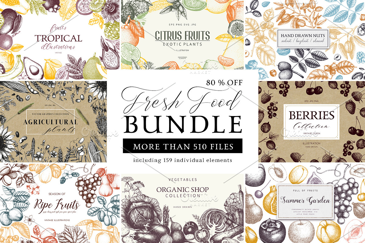 BUNDLE - Fresh Food Vector & Designs in Illustrations - product preview 8