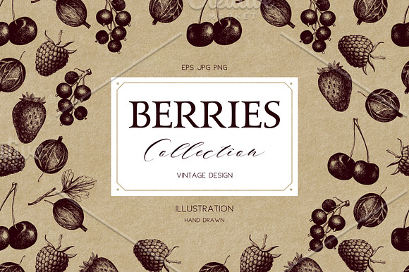 BUNDLE - Fresh Food Vector & Designs in Illustrations - product preview 7