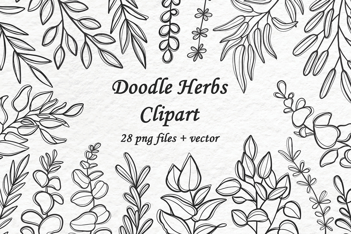 Doodle Herbs clipart in Illustrations - product preview 8