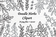 Doodle Herbs clipart