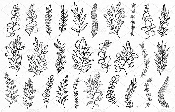 Doodle Herbs clipart in Illustrations - product preview 1
