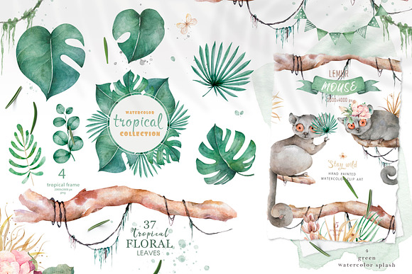 Cute Giraffes Watercolor Tropic in Illustrations - product preview 4
