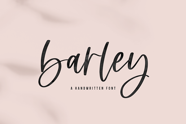 Barley | Handwritten Script Font