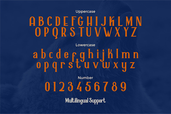 Alaska Typeface in Slab Serif Fonts - product preview 1