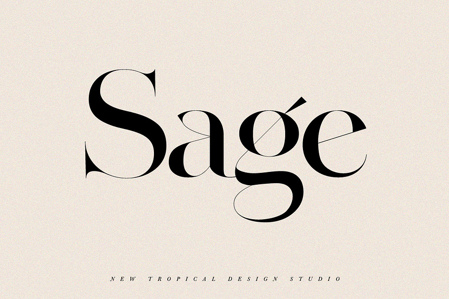 SAGE - Serif Font in Serif Fonts - product preview 8