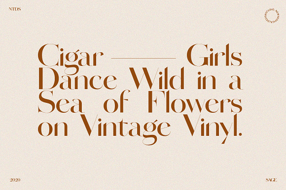 SAGE - Serif Font in Serif Fonts - product preview 2