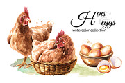 Hens & eggs. Watercolor collection