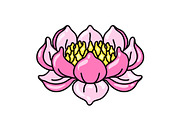 Illustration of lotus flower. Water