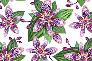 Floral seamless print